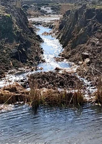 Уничтожение плавней в районе лиманов Железняковский и Малая Бессарабка