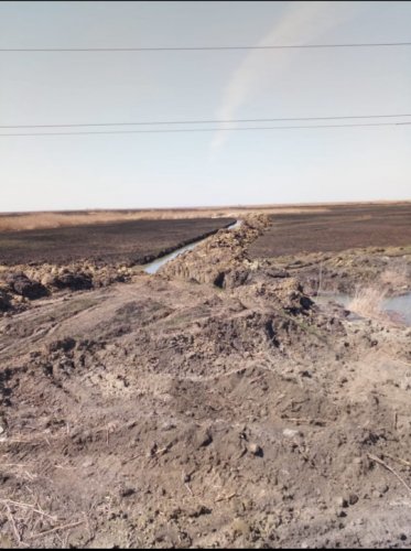 Уничтожение плавней в районе лиманов Железняковский и Малая Бессарабка