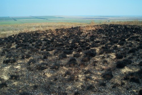 Выжигание травяного покрова является одной из проблем сохранения природных комплексов горы Цымбалы