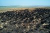Выжигание травяного покрова является одной из проблем сохранения природных комплексов горы Цымбалы