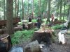 (2009.06.04) Незаконная заготовка леса в Северном отделе Кавказского заповедника