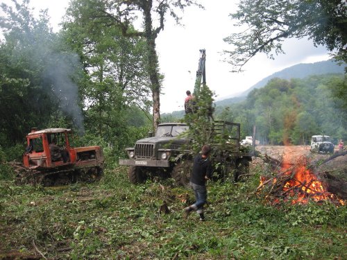 (2009.07.28) Незаконная рубка леса в 29-м кв. Веселовского лесничества Сочинского нацпарка при строительстве совмещенной дороги