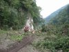 (2009.08.16) Незаконная вырубка леса на правом берегу Мзымты ниже с.Монастырь при строительстве совмещенной дороги