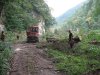 (2009.08.16) Незаконная вырубка леса на правом берегу Мзымты ниже с.Монастырь при строительстве совмещенной дороги