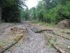 (2009.08.16) Незаконная вырубка леса при строительстве совмещенной дороги Адлер-Красная Поляна между временными мостами №3 и №4