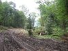 (2009.08.16) Незаконная вырубка леса при строительстве совмещенной дороги Адлер-Красная Поляна между временными мостами №3 и №4