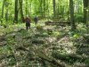 Выезд на места незаконных вырубок леса в районе хутора Кубанский