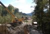 Замена в проекте дороги насыпи на эстакаду не смогло спасти самшитовый лес