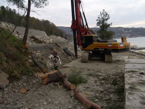 (2010.12.10) РЖД уничтожает рощу сосны пицундской на мысе Видный