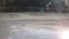 (2011.01.13) Экологическая катастрофа на реке Дзыхра в Сочи