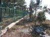 (2011.02.16) Забор вокруг виноградников был проложен через заросли краснокнижных можжевельников