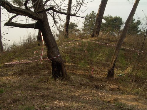 (2011.03.17) Уничтожение последнего места обитания ложнодрока монпелийского в России