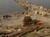 (2011.03.17) Уничтожение последнего места обитания ложнодрока монпелийского в России