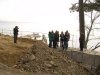 (2011.03.17) Уничтожение последнего места обитания ложнодрока монпелийского в России