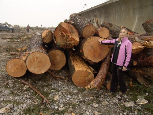 (2011.03.20) Гибель мыса Видного