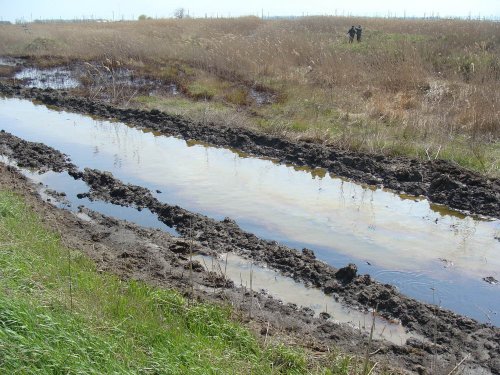 (2011.04.15) Радужная пленка на воде, грязные тростники