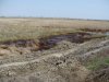 (2011.04.15) Нефтяное загрязнение территории заказника вдоль трубопровода
