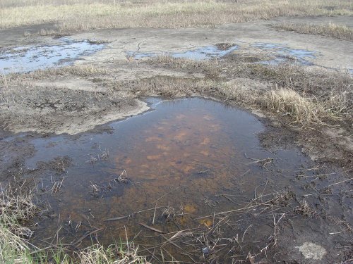 (2011.04.15) Озеро с битумной коркой