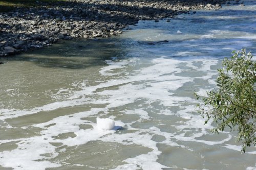 В результате сброса буровых отходов белая пена покрыла реку Мзымта