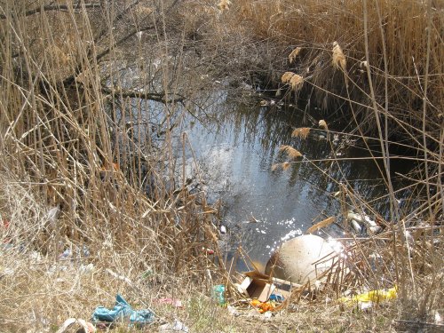 Со свалки в реку Протоку стекают токсичные отходы