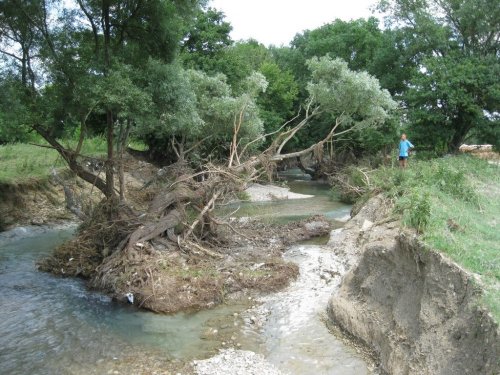 По наносам на дереве видно какой был уровень воды в реке Псыж