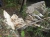 Незаконная вырубка леса в Кудепсте