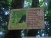 Надпись, предупреждающая туристов о том, что нельзя бросать мусор и повреждать деревья в заповеднике, выглядит смешно на фоне бе