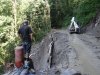Строительство дороги ведется крайне варварскими методами - с уничтожением и засыпкой грунтом самшитового леса на прилегающих к д