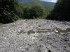 Незаконный карьер по добыче гравия в пойме реки Шахе на территории Кавказского заповедника