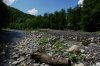 Незаконный карьер по добыче гравия в пойме реки Шахе на территории Кавказского заповедника