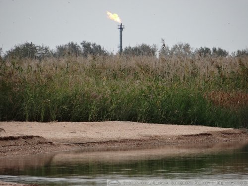 Факел завода является огромным фактором негативного воздействия на водно-болотное угодье "Дельта Кубани"