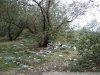 Лес завален мусором, оставленным отдыхающими