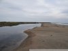 Нетронутая дикая природа водно-болотных угодий "Дельта Кубани" южнее Славянских Кучугур