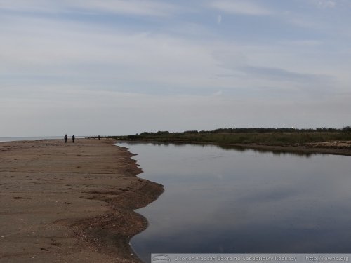 Песчаная коса в районе впадения в Азовское море Морского сбросного канала