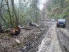 Уничтоженные лес и разрушенные ландшафты по трассе строящейся дороги