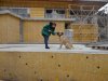 Инспекция строительства "дачи Сердюкова" на Утрише