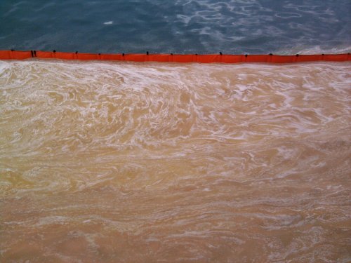 Из-за аварии в порту «Тамань» в акваторию Черного моря попало растительное масло