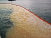 Из-за аварии в порту «Тамань» в акваторию Черного моря попало растительное масло