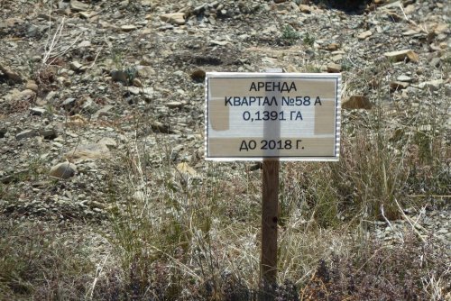 Табличка об аренде лесного участка на месте пожара