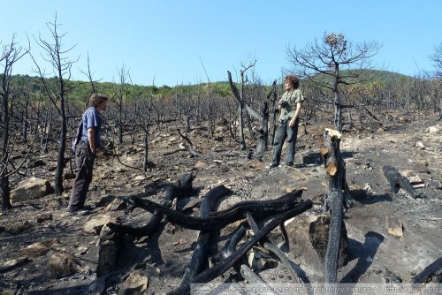 Активисты ЭкоВахты среди пустыни порожденной пожаром