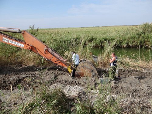 Расчистка канала в районе лимана Золотого в Приморско-ахтарском районе