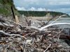 (2014.05.02) Возле «Дачи Ткачева» в Голубой Бухте выявлен новый захват земель лесного фонда