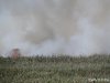 (2014.09.03) Пожары в плавнях реки Бейсуг