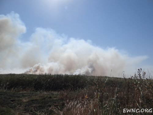 (2014.09.03) Пожары в плавнях реки Бейсуг
