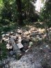 (2014.10.14) Сочи. Вырубка леса возле СГУТиКД