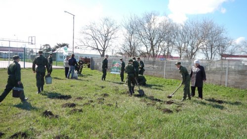 (2015.04.05) Активисты высадили рощу на берегу Бейсугского лимана