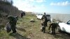 (2015.04.05) Активисты высадили рощу на берегу Бейсугского лимана
