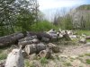 Огромное количество вырубленного возле Медовых скал леса просто брошено гнить