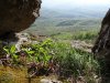 Вид с вершины Медовых скал