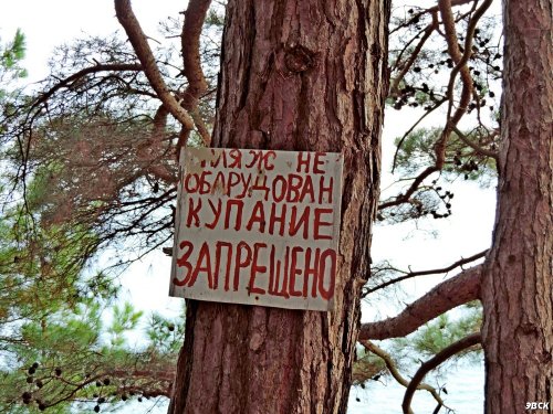 Эта табличка говорит о том, что пляж "Соснового рая" не соответствует санитарным требованиям